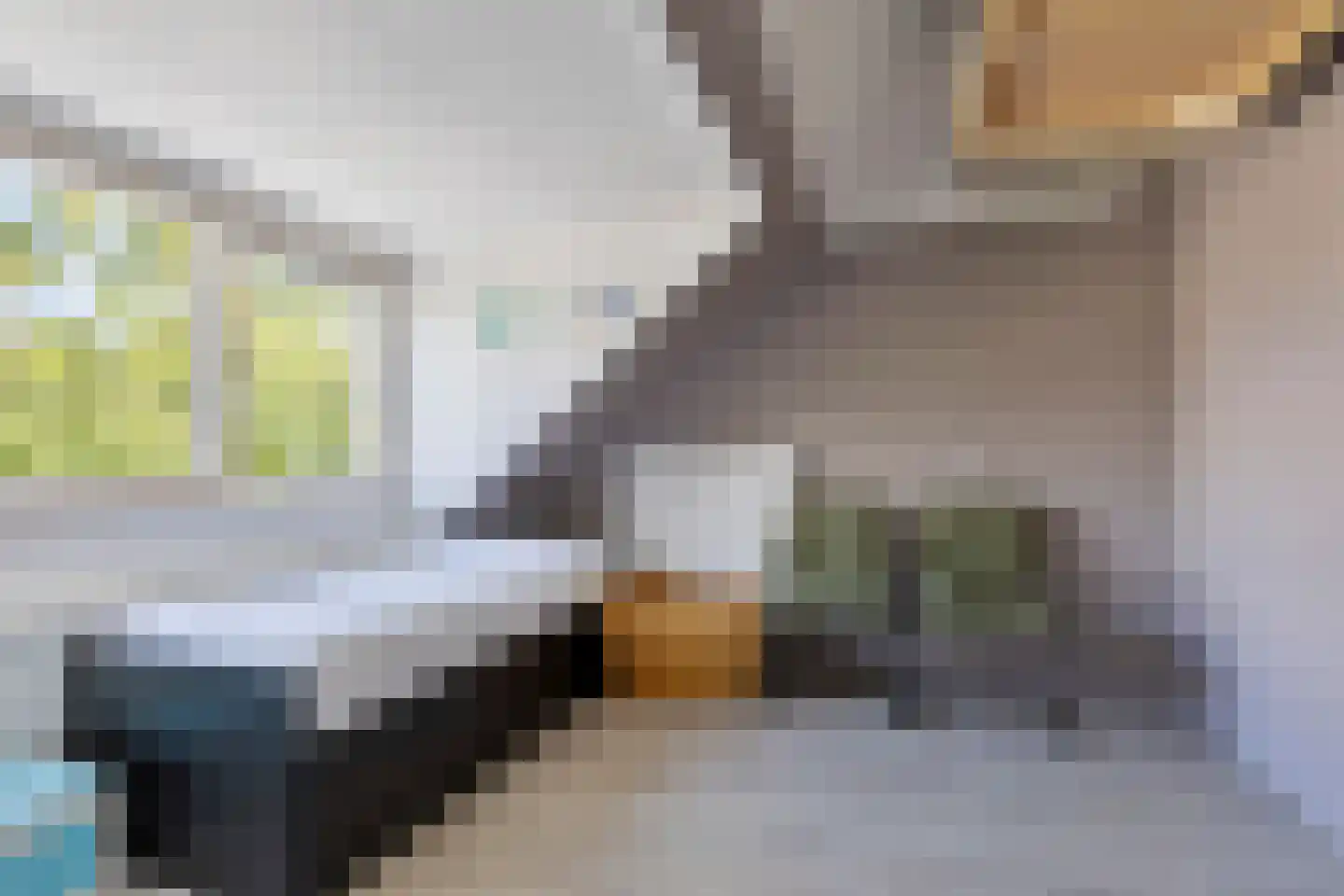 Krabbelaar 30 Sliedrecht thumbnail 23