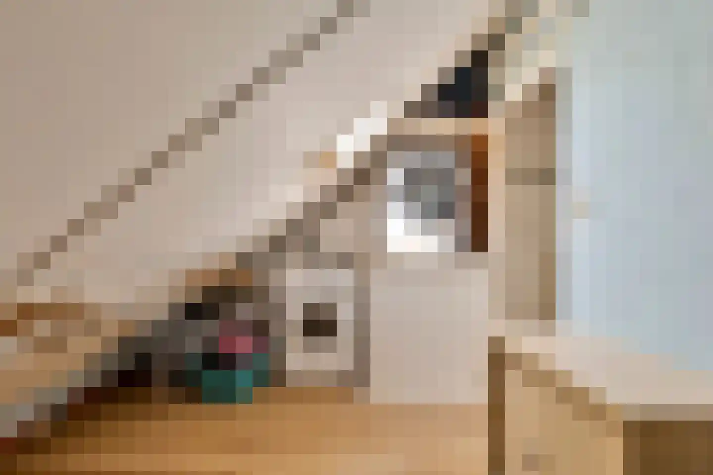 Krabbelaar 30 Sliedrecht thumbnail 26