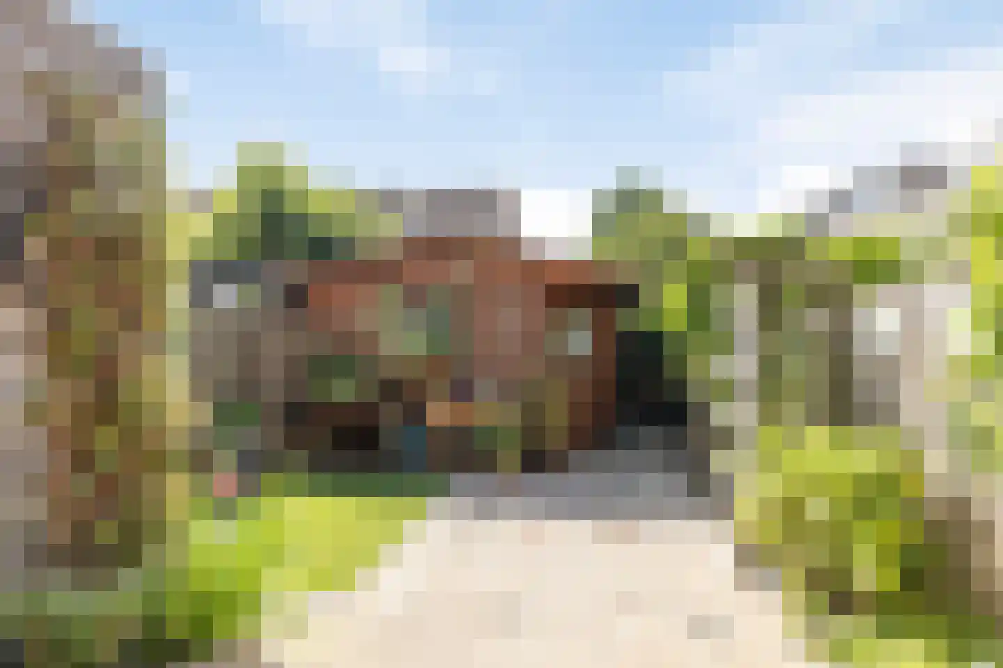 Krabbelaar 30 Sliedrecht thumbnail 27