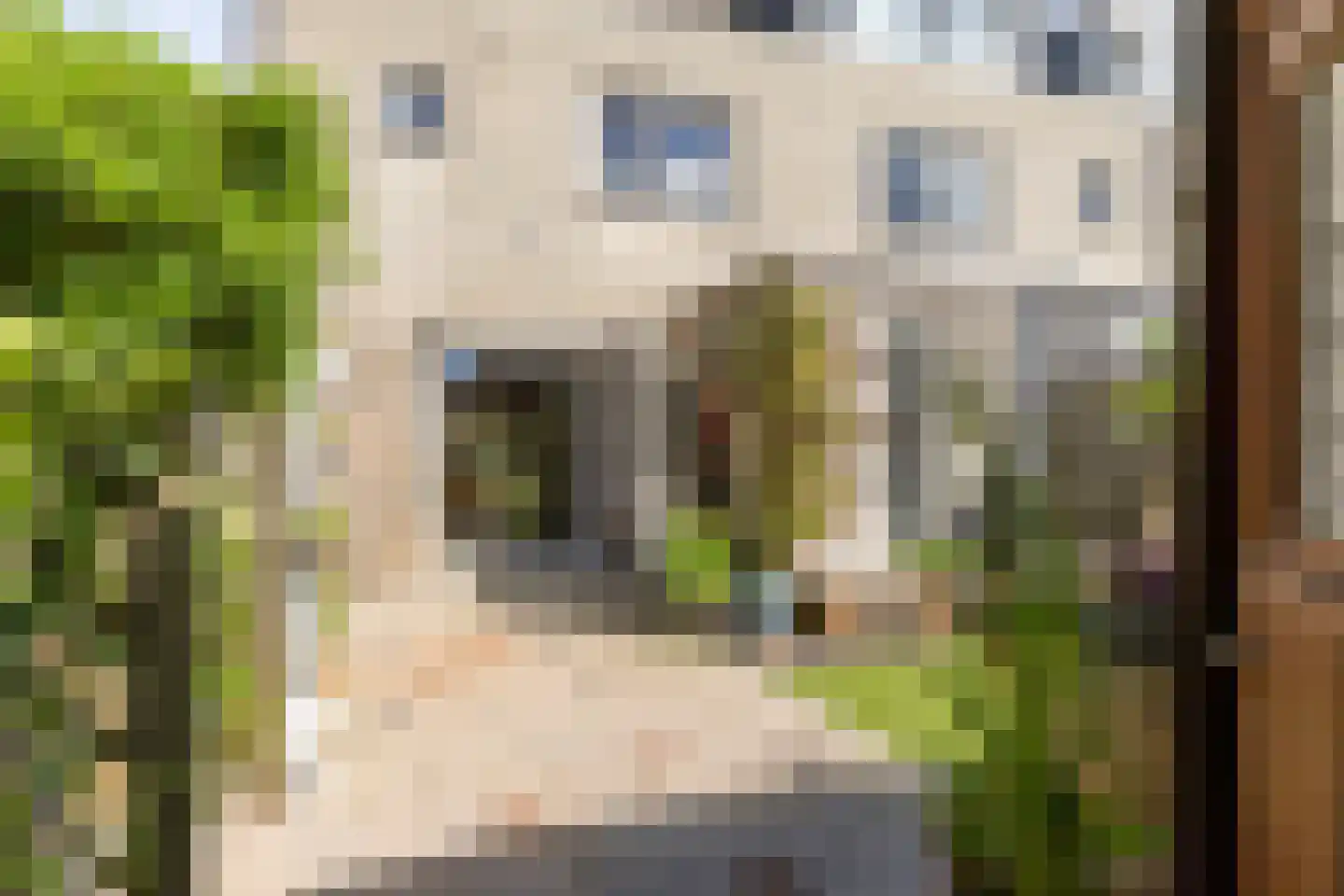 Krabbelaar 30 Sliedrecht thumbnail 29