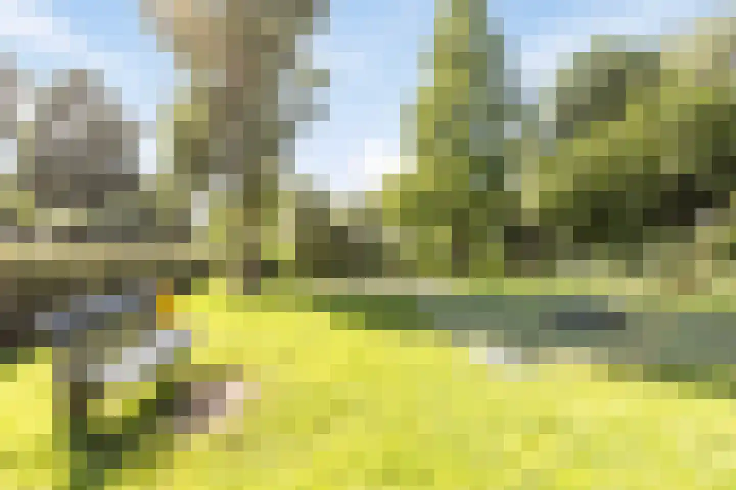 Krabbelaar 30 Sliedrecht thumbnail 34