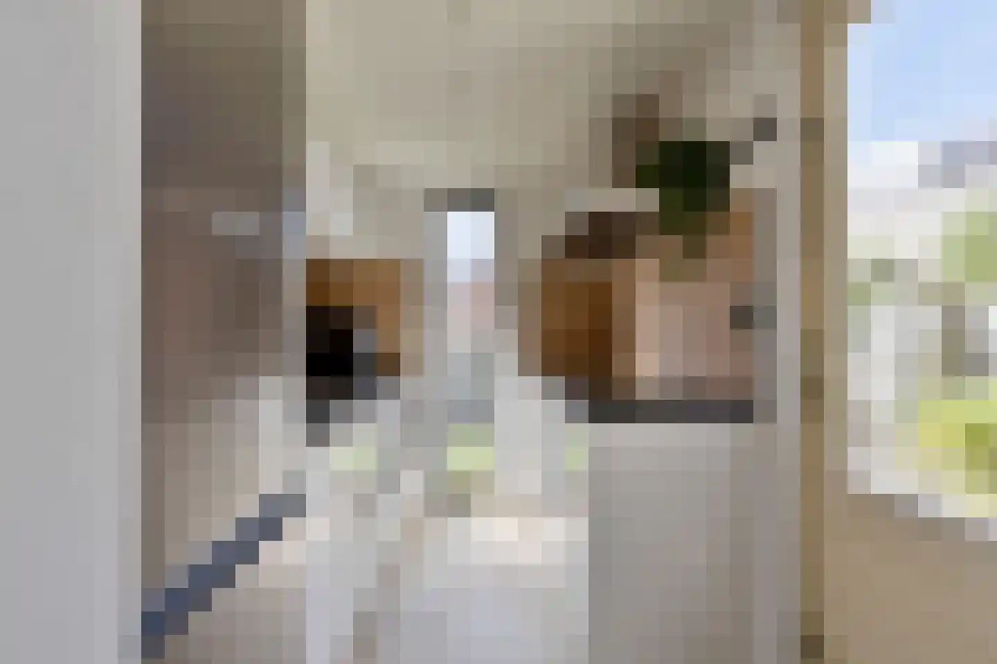 Krabbelaar 30 Sliedrecht thumbnail 8