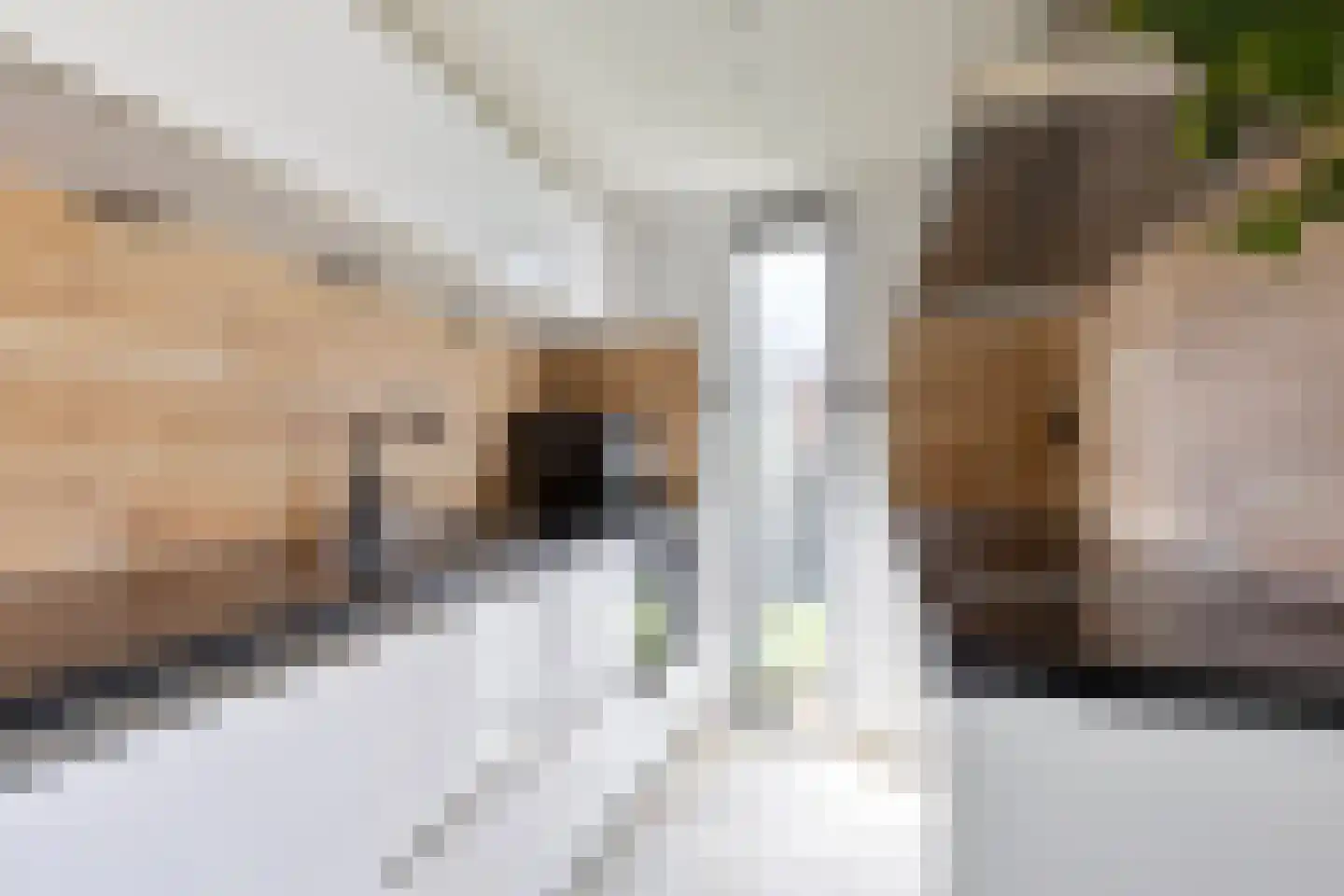 Krabbelaar 30 Sliedrecht thumbnail 9