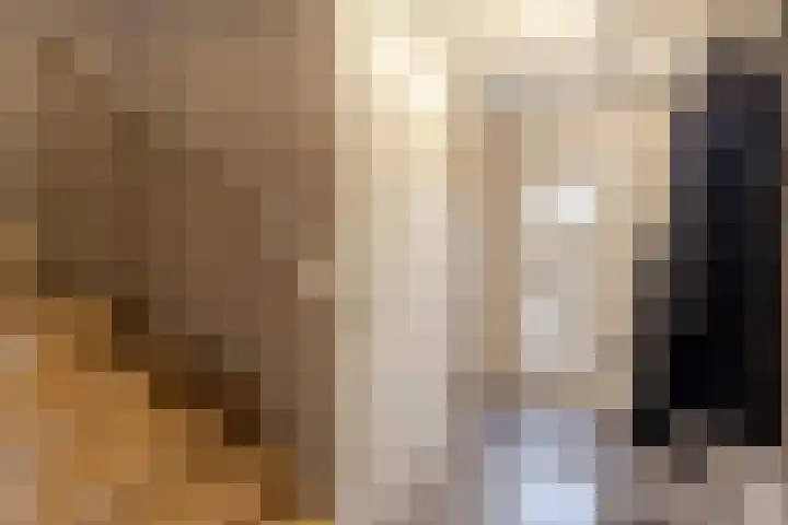 Krabbelaar 39 Sliedrecht thumbnail 11