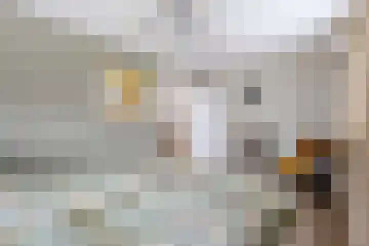 Krabbelaar 39 Sliedrecht thumbnail 15