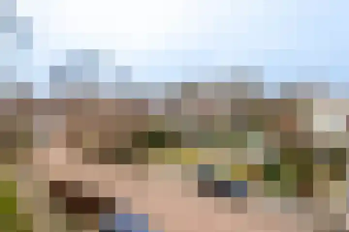 Krabbelaar 39 Sliedrecht thumbnail 26