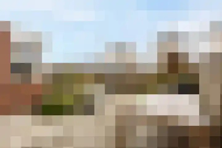Krabbelaar 39 Sliedrecht thumbnail 28
