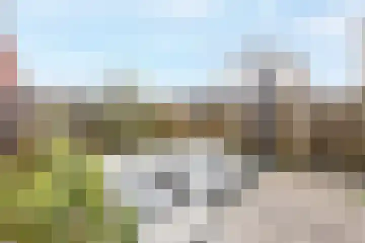 Krabbelaar 39 Sliedrecht thumbnail 29