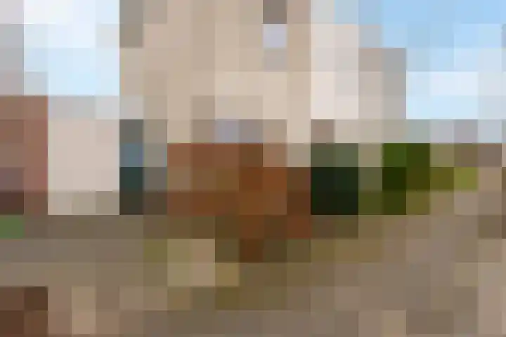 Krabbelaar 39 Sliedrecht thumbnail 31