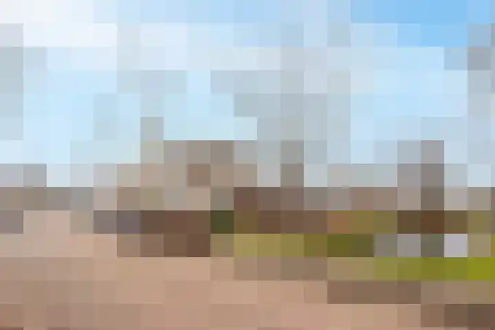 Krabbelaar 39 Sliedrecht thumbnail 32