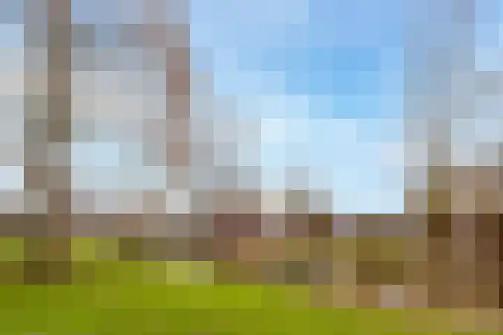 Krabbelaar 39 Sliedrecht thumbnail 33