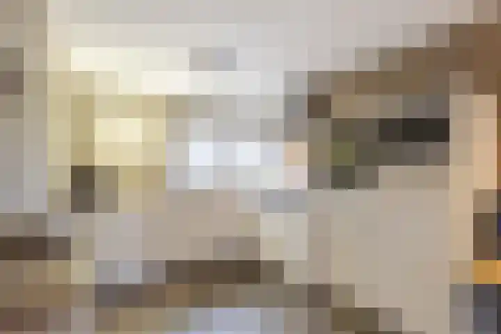 Krabbelaar 39 Sliedrecht thumbnail 7
