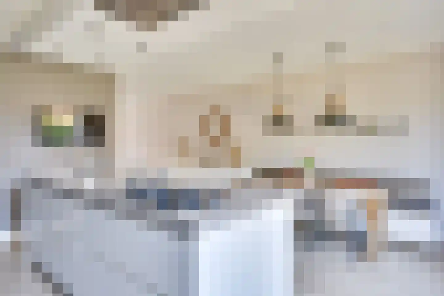 Krabbelaar 9 Uden thumbnail 14
