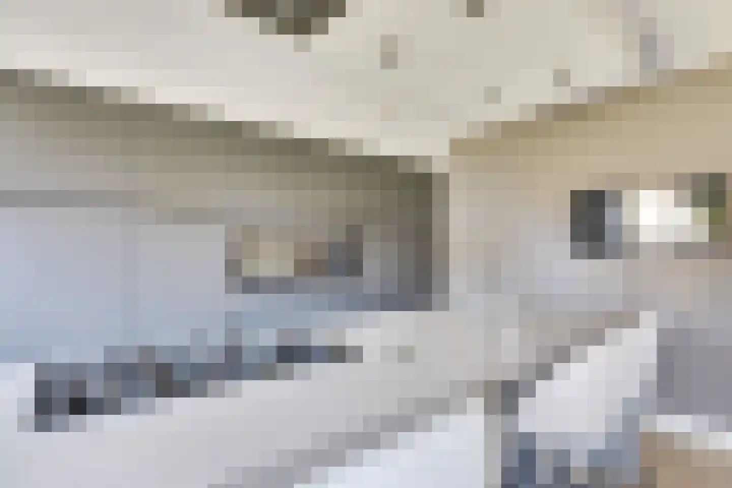 Krabbelaar 9 Uden thumbnail 16