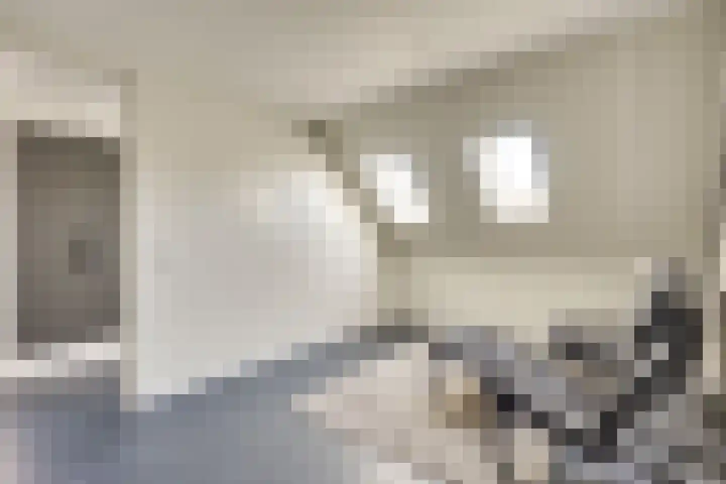 Krabbelaar 9 Uden thumbnail 30