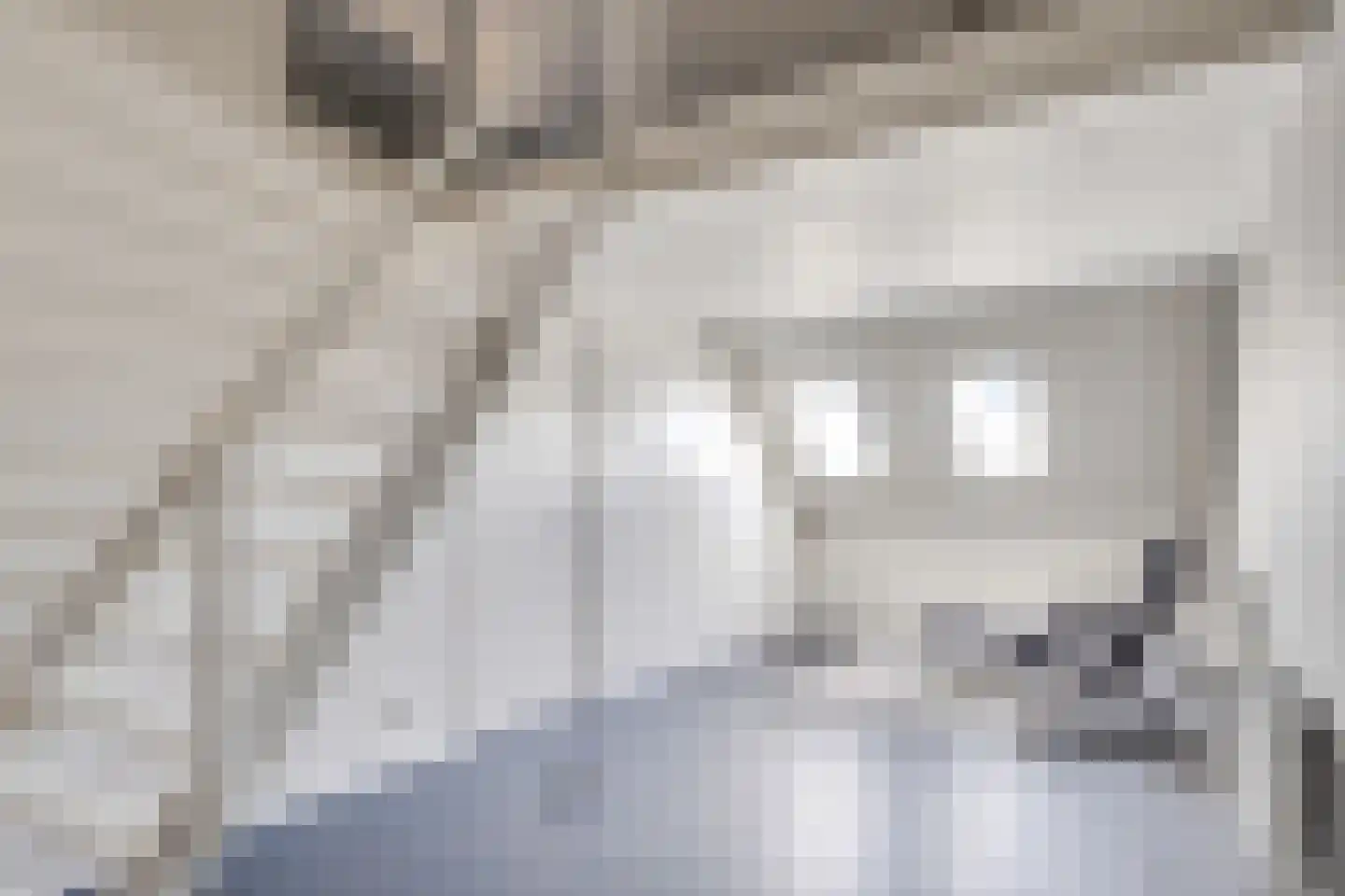 Krabbelaar 9 Uden thumbnail 31