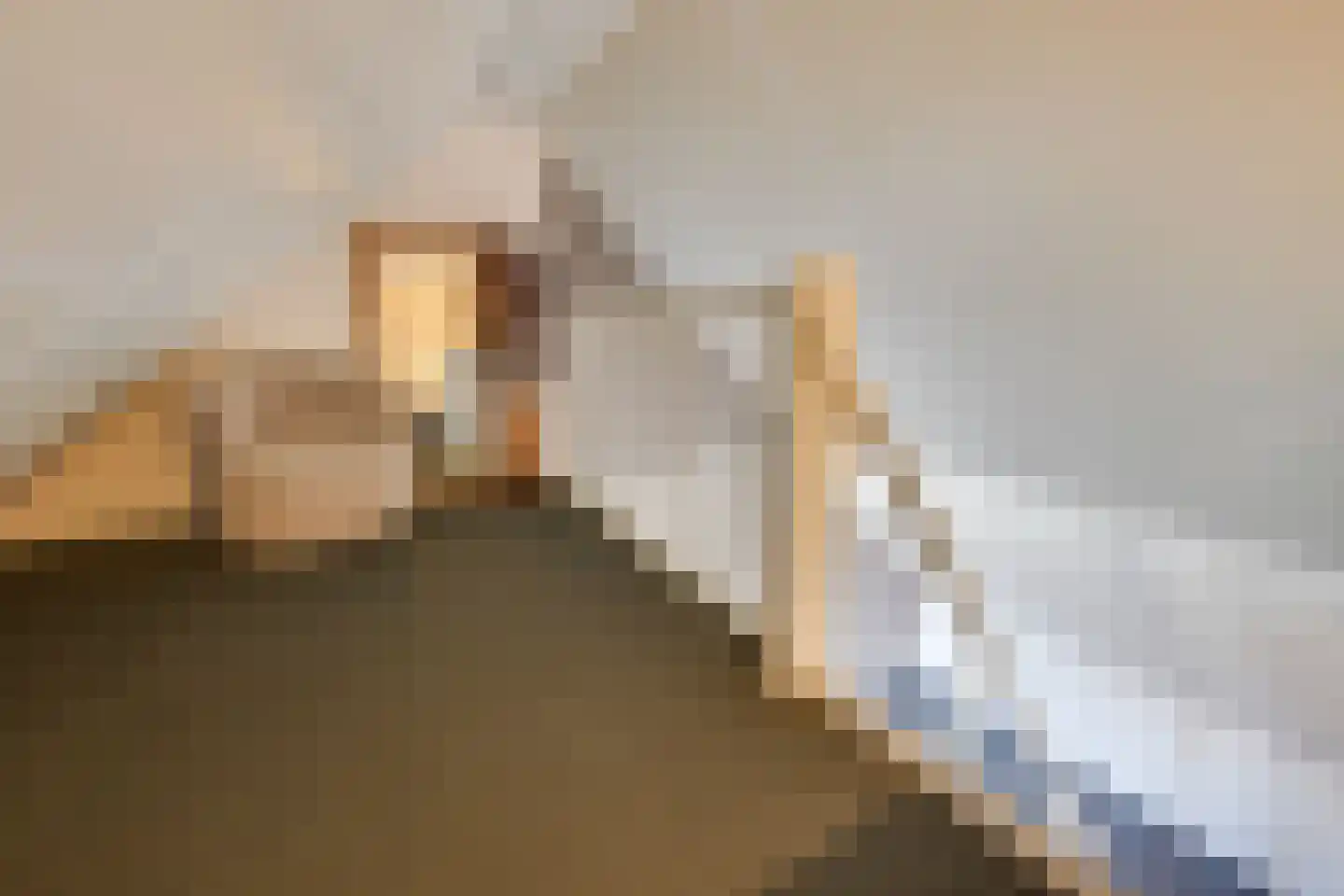 Krabbelaar 9 Uden thumbnail 34