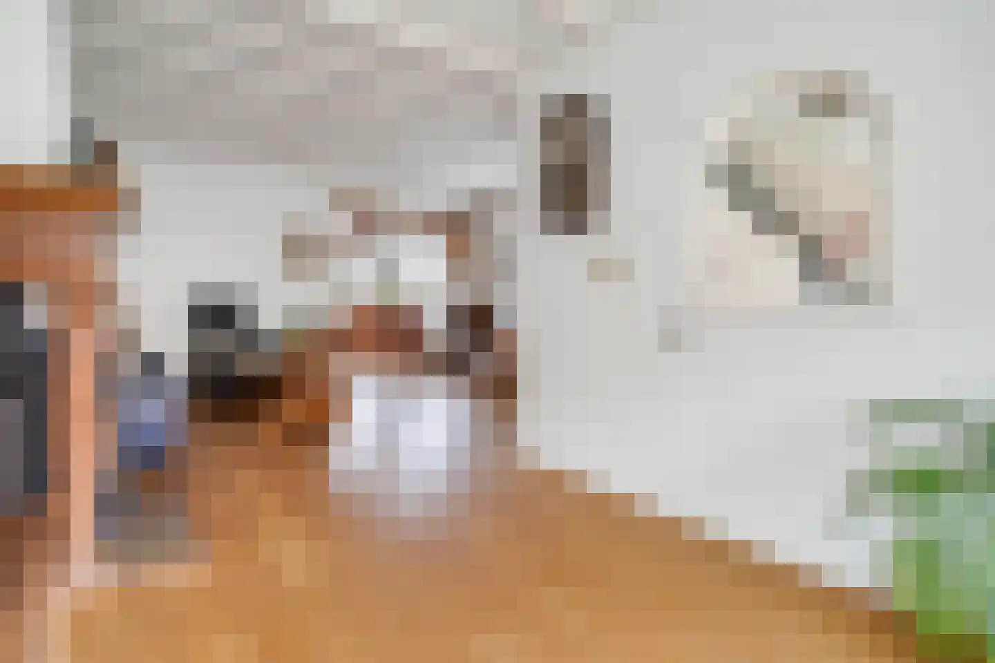 Krabbenbosweg 116 Hengelo thumbnail 12