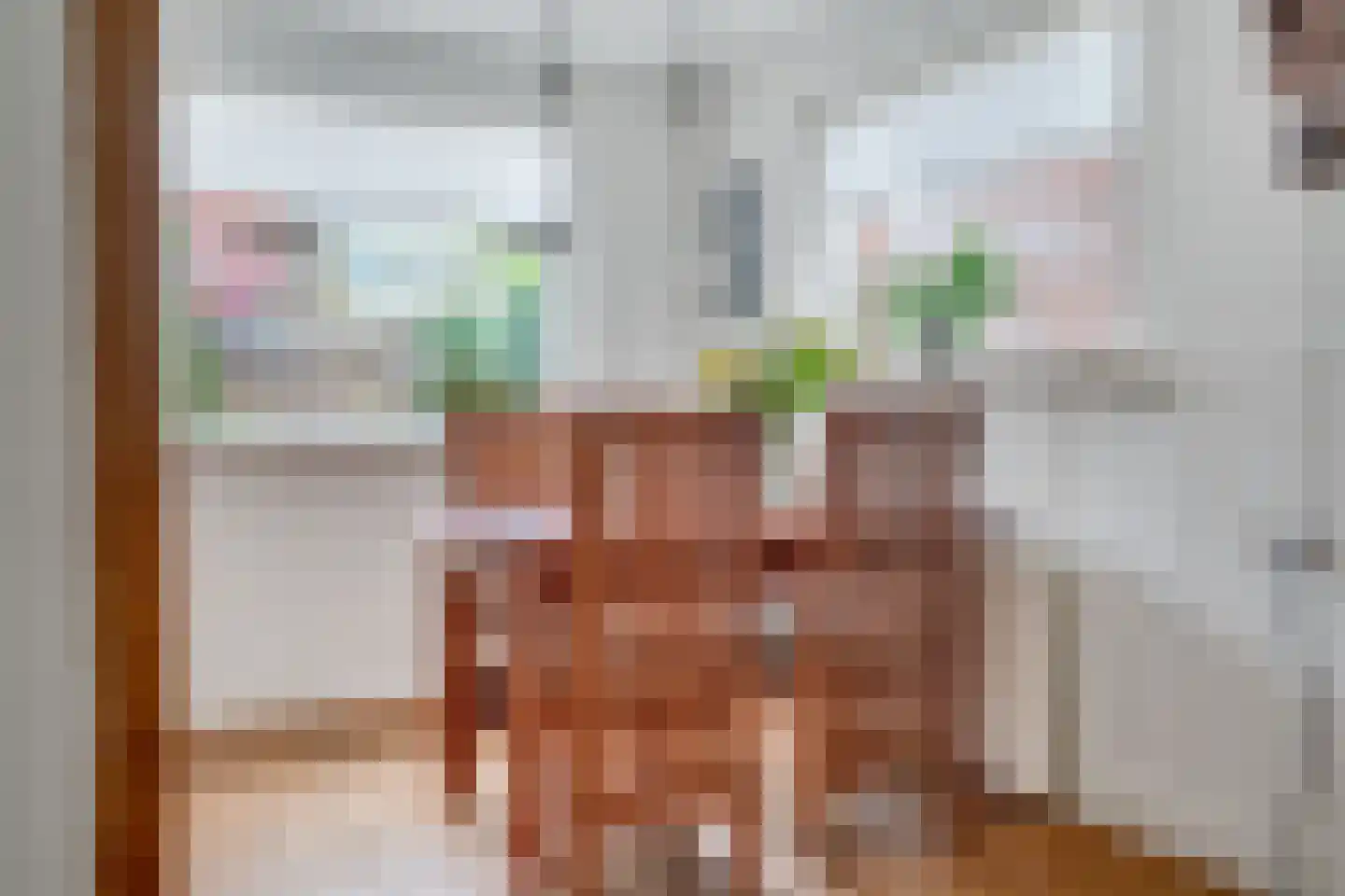 Krabbenbosweg 116 Hengelo thumbnail 16
