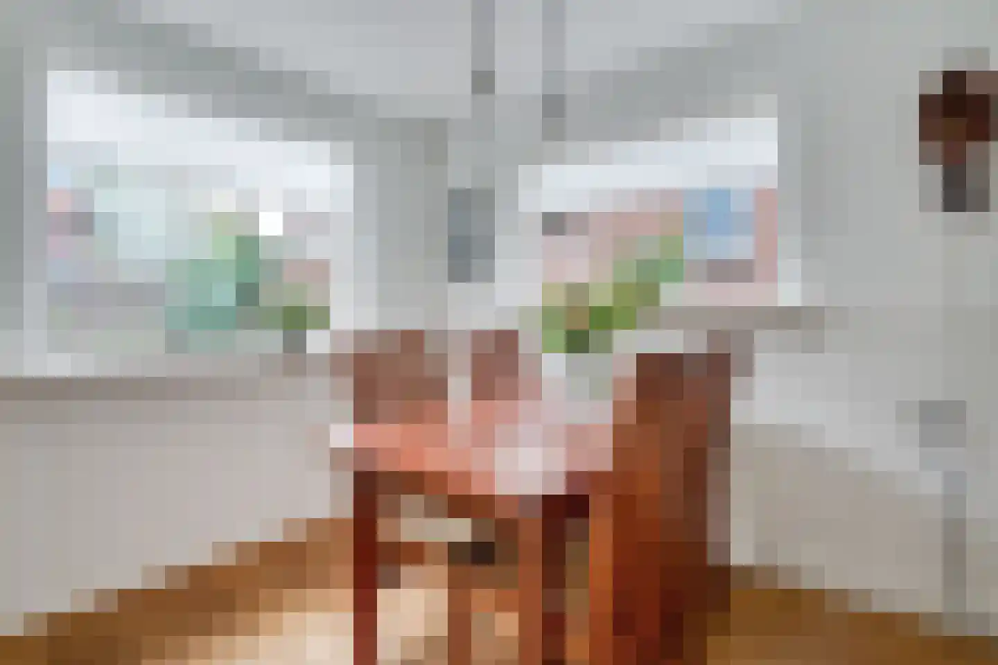 Krabbenbosweg 116 Hengelo thumbnail 17