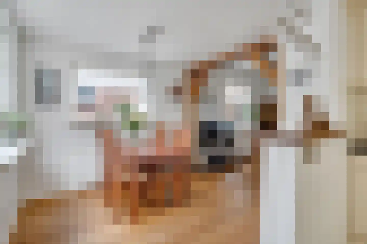 Krabbenbosweg 116 Hengelo thumbnail 18