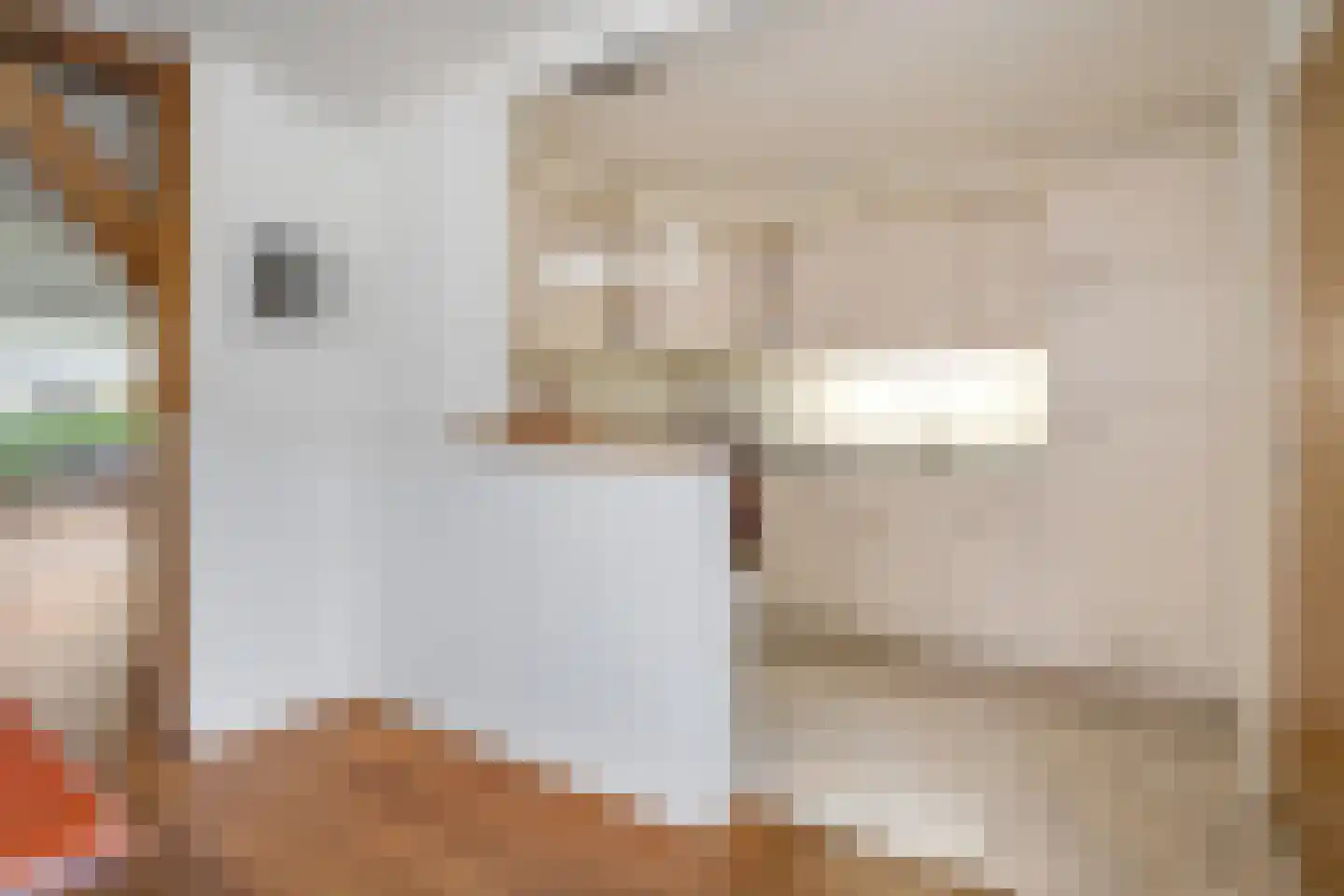 Krabbenbosweg 116 Hengelo thumbnail 19