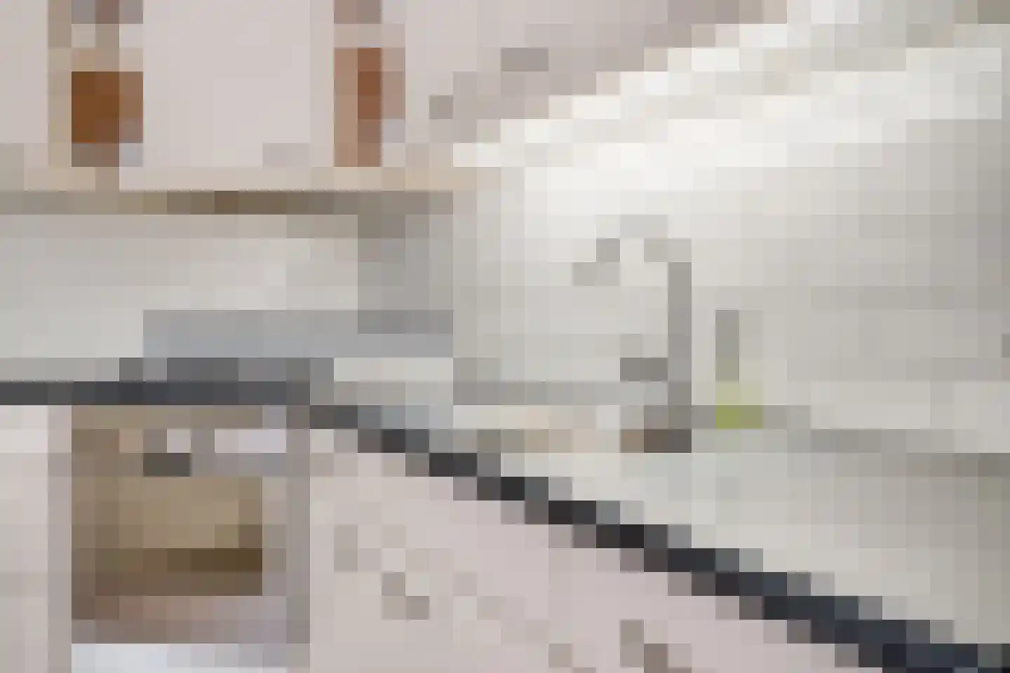 Krabbenbosweg 116 Hengelo thumbnail 21