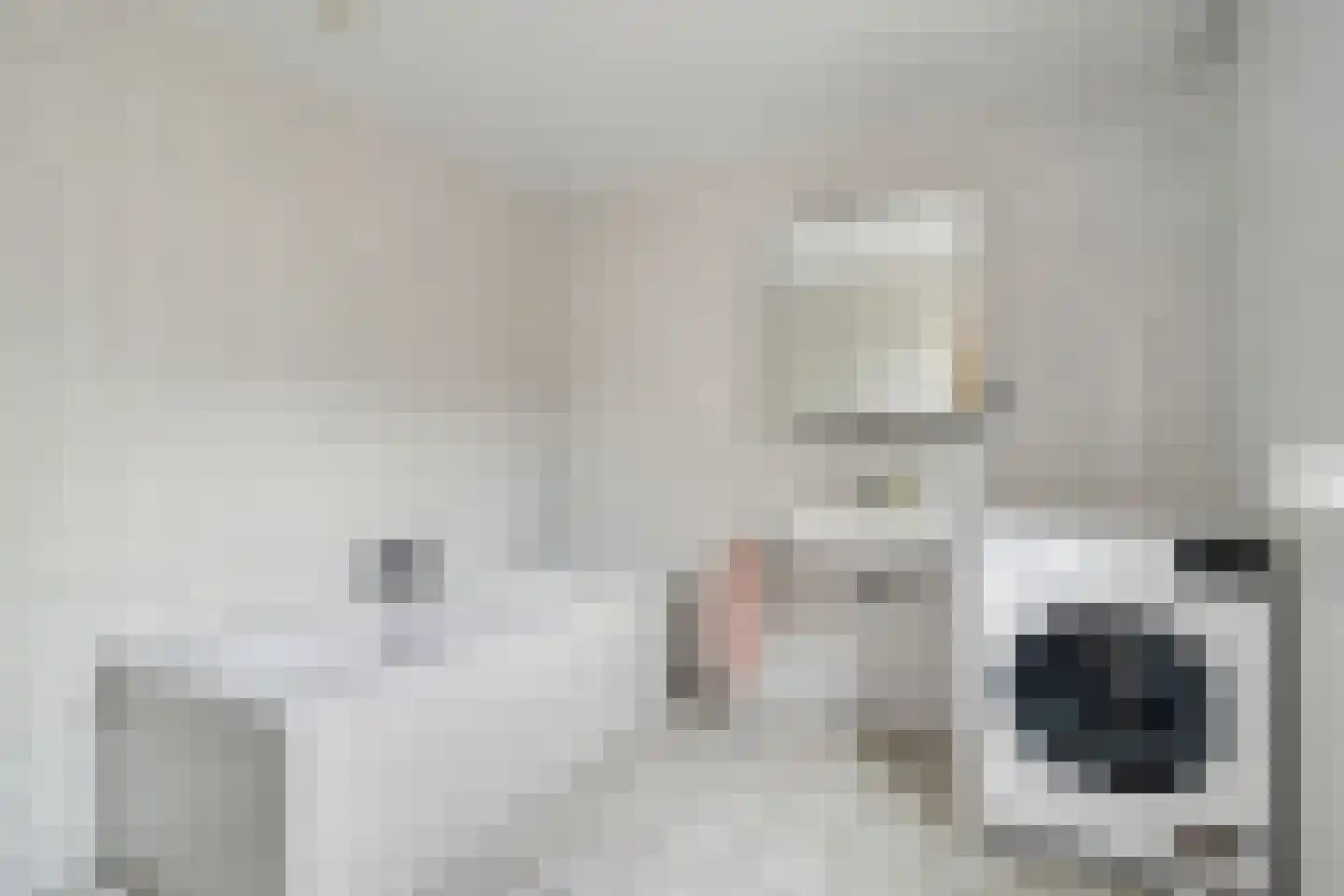 Krabbenbosweg 116 Hengelo thumbnail 25