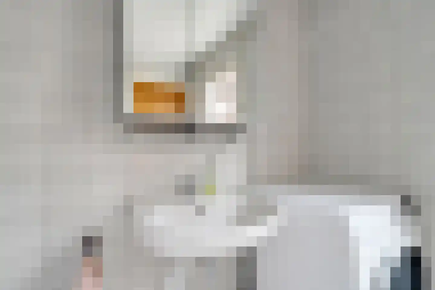 Krabbenbosweg 116 Hengelo thumbnail 26
