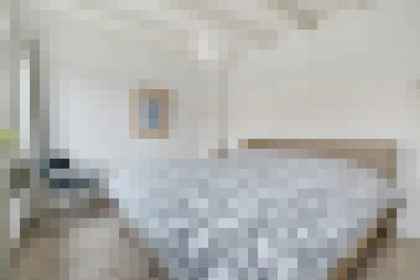 Krabbenbosweg 116 Hengelo thumbnail 29