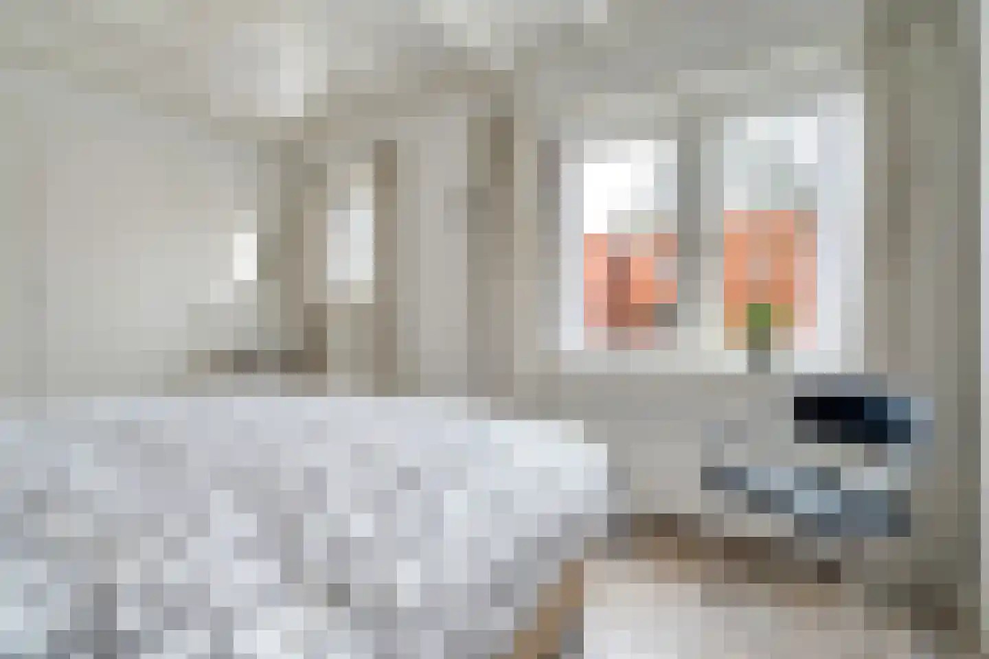 Krabbenbosweg 116 Hengelo thumbnail 30