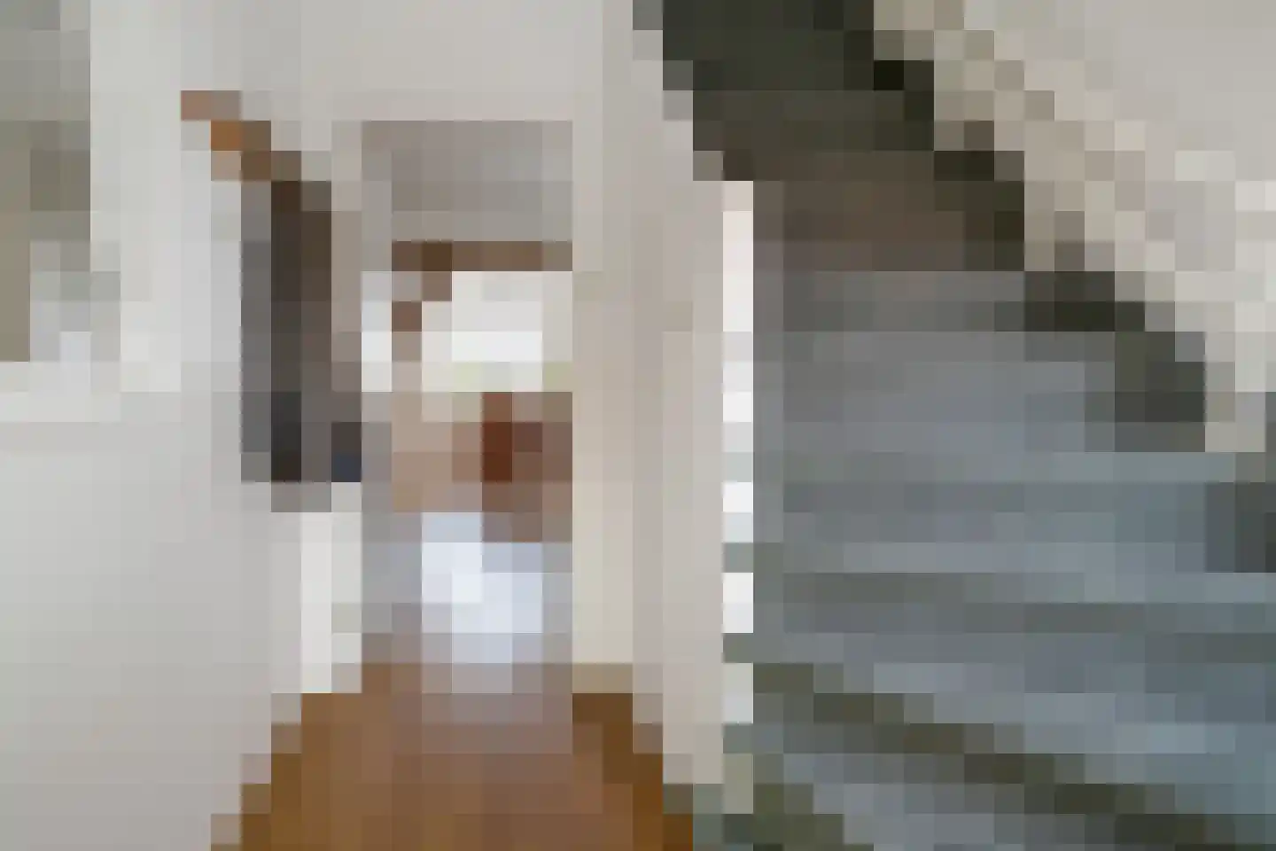 Krabbenbosweg 116 Hengelo thumbnail 8