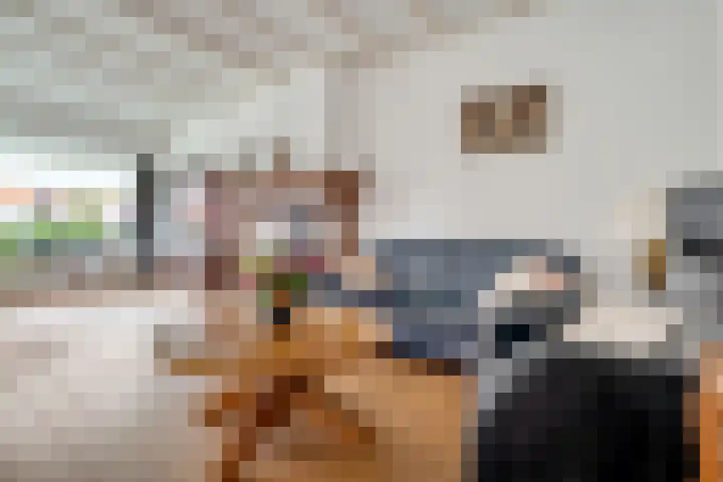 Krabbenbosweg 116 Hengelo thumbnail 9