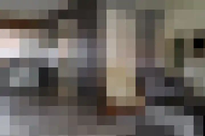 Krabbenbosweg 128 Hengelo thumbnail 11