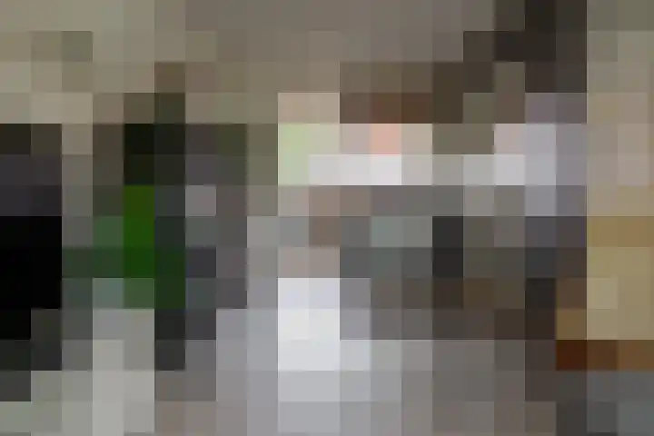 Krabbenbosweg 128 Hengelo thumbnail 12
