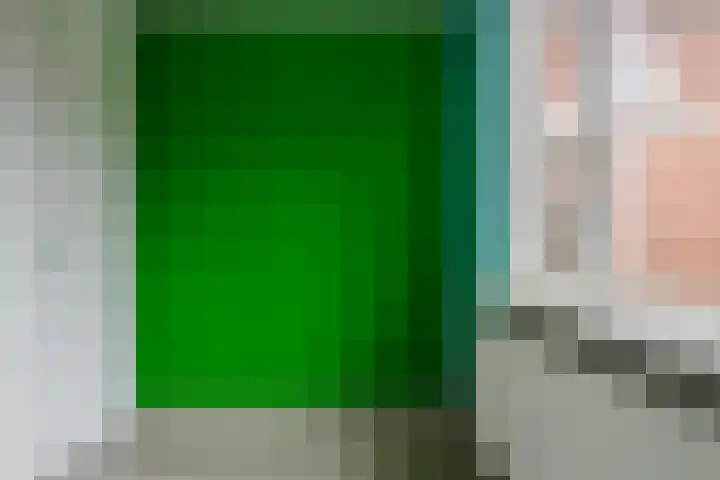 Krabbenbosweg 128 Hengelo thumbnail 24
