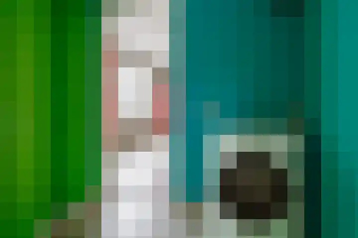 Krabbenbosweg 128 Hengelo thumbnail 26