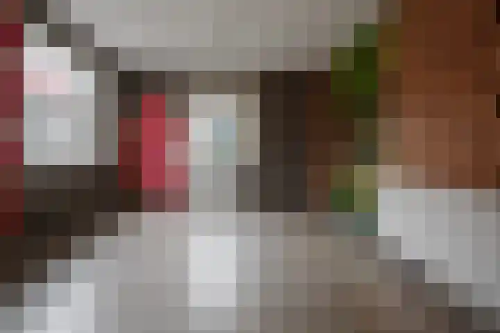 Krabbenbosweg 128 Hengelo thumbnail 27