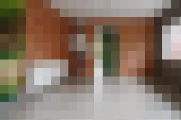 Krabbenbosweg 128 Hengelo thumbnail 28