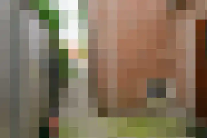 Krabbenbosweg 128 Hengelo thumbnail 31