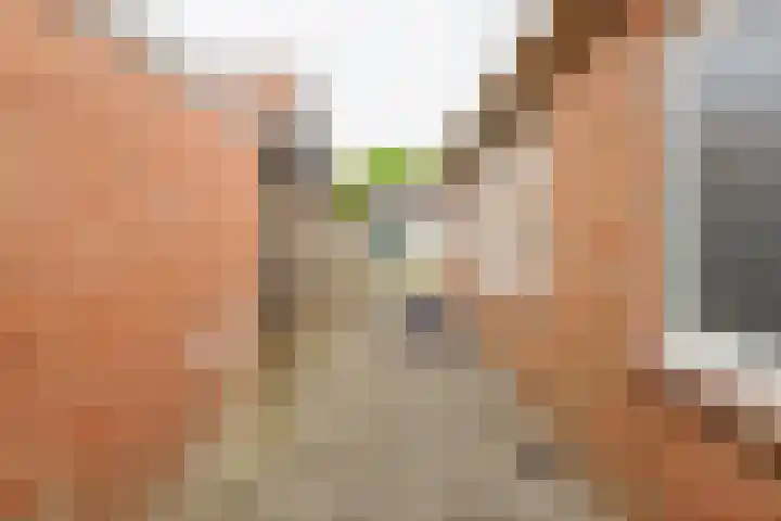 Krabbenbosweg 128 Hengelo thumbnail 32