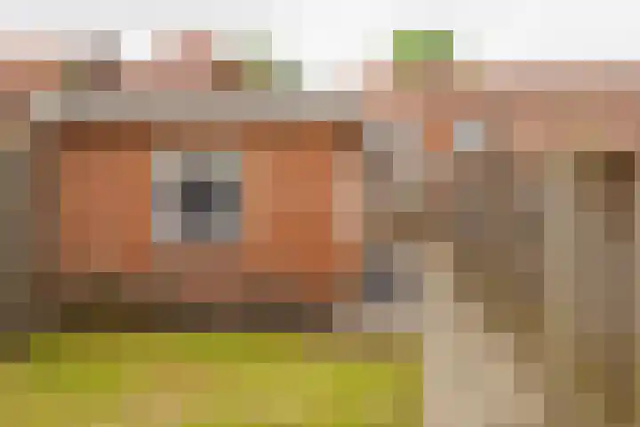 Krabbenbosweg 128 Hengelo thumbnail 35