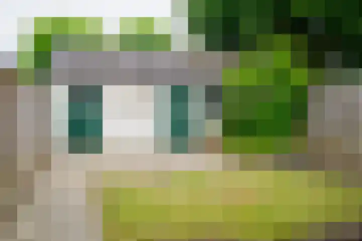 Krabbenbosweg 128 Hengelo thumbnail 36