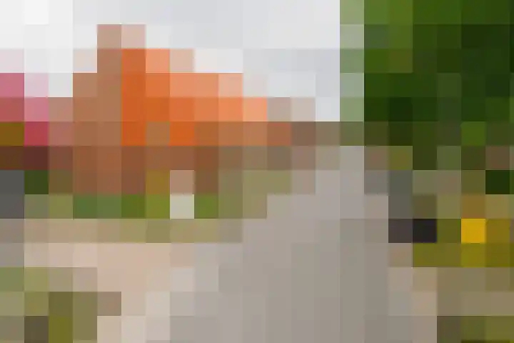 Krabbenbosweg 128 Hengelo thumbnail 40