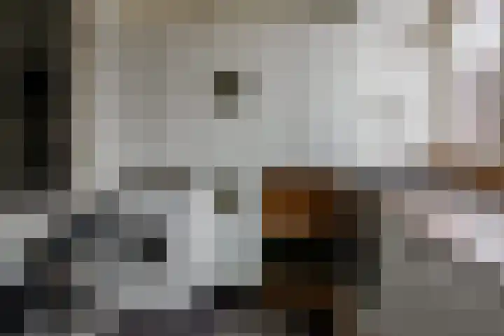 Krabbenbosweg 128 Hengelo thumbnail 7
