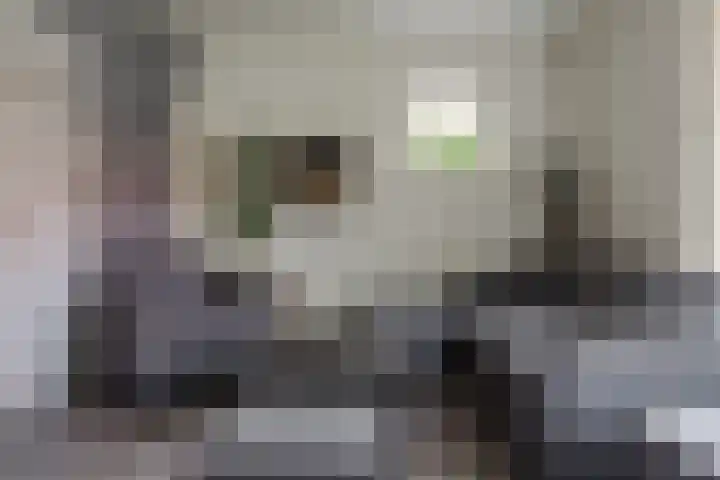 Krabbenbosweg 128 Hengelo thumbnail 9