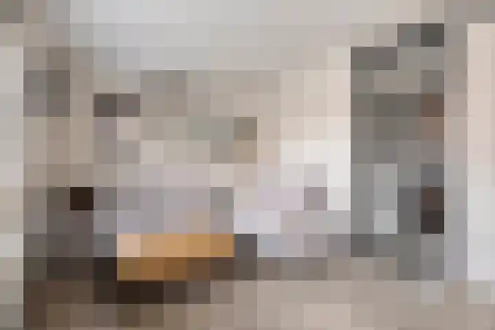 Krabbenbosweg 130 Hengelo thumbnail 11