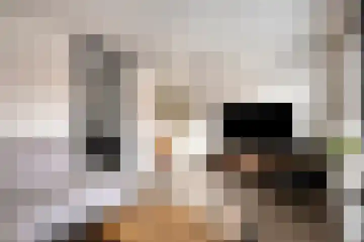 Krabbenbosweg 130 Hengelo thumbnail 12