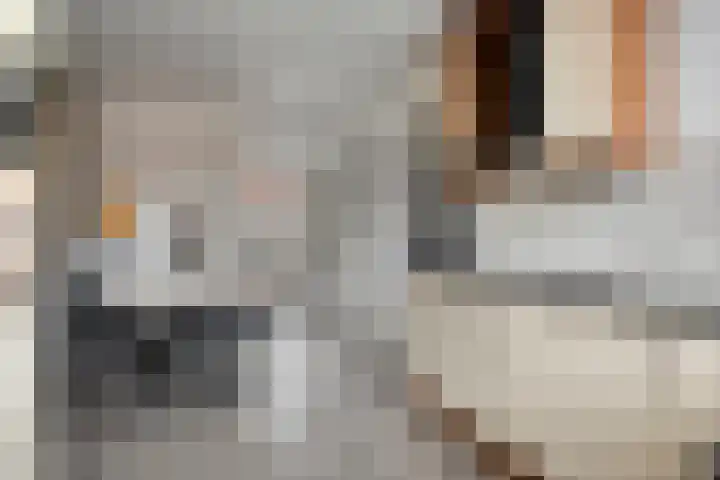 Krabbenbosweg 130 Hengelo thumbnail 19