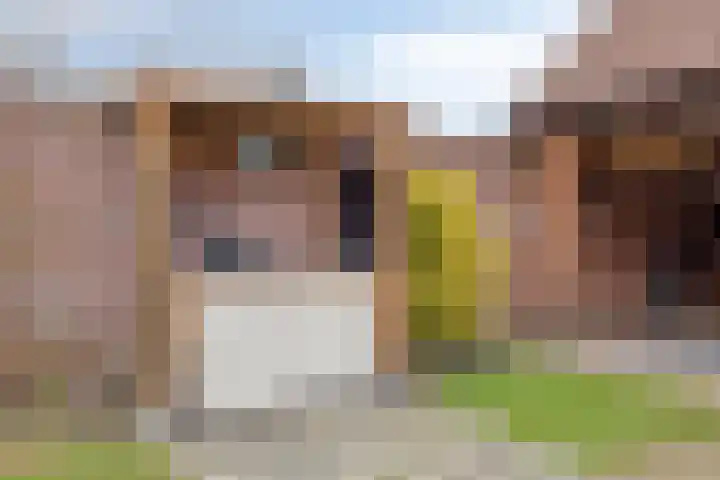 Krabbenbosweg 130 Hengelo thumbnail 35